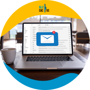 Blucactus - correo de ventas en frio